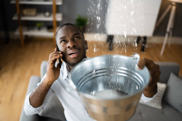 Best Flood damage cleanup  in Standish, MI