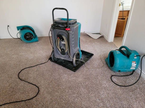 Best Emergency water damage restoration  in Standish, MI