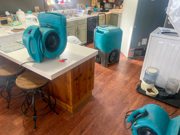 Best Residential water damage restoration  in Standish, MI