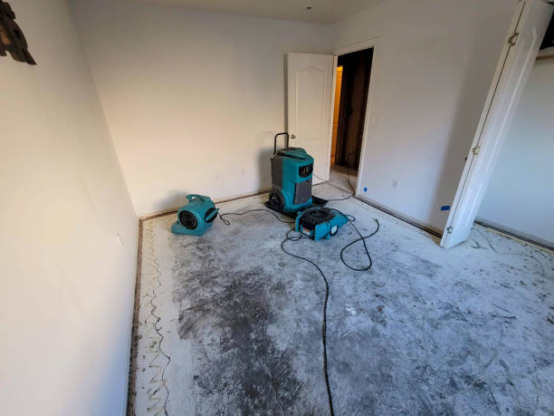 Best Flooded house restoration  in Standish, MI