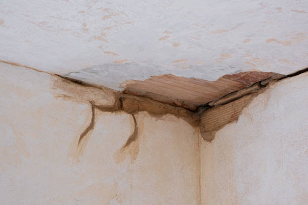 Best Sewage cleanup and water damage restoration  in Standish, MI