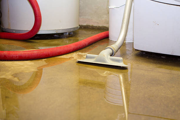Best Ceiling water damage repair  in Standish, MI