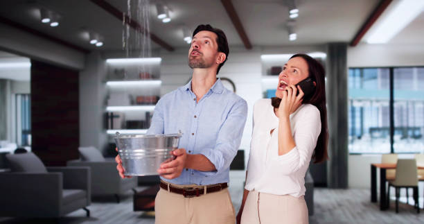 Best Fire Damage Restoration  in Standish, MI