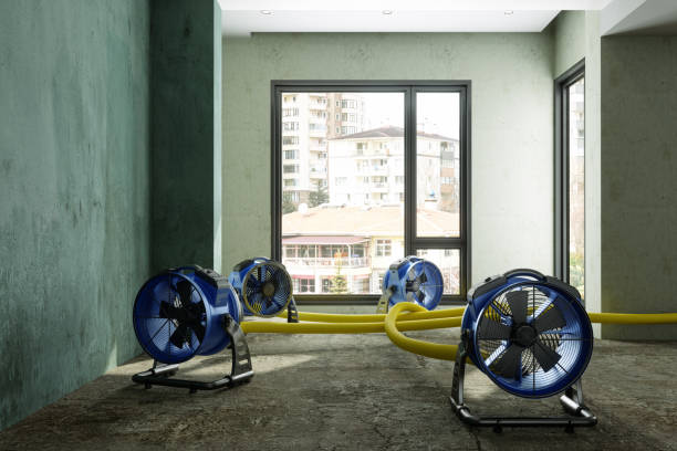 Best Carpet water damage restoration  in Standish, MI