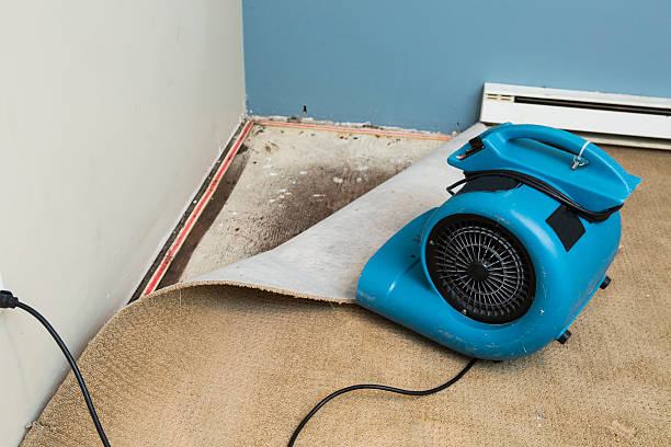 Best Local water damage restoration  in Standish, MI