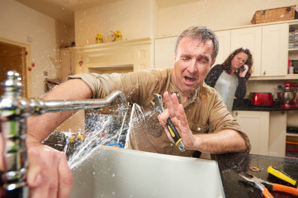 Best Mold removal after water damage  in Standish, MI